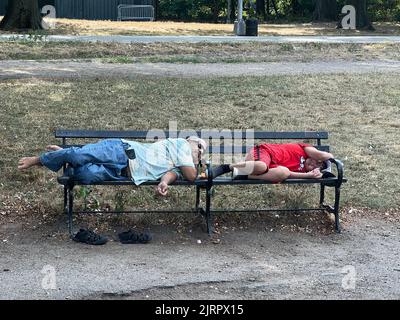 Uomo e ragazzo riposano su una panchina durante un'ondata di caldo a Prospect Park. L'erba bruciata dietro di loro attesta la condizione di calore estremo senza pioggia in vista. Brooklyn, New York. Foto Stock