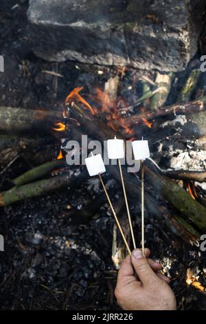 Marshmallow su un bastone al palo. Marshmallows fritti. Picnic nella natura. Marshmallows su uno sfondo di fuoco Foto Stock