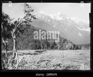 Vicino casa di alloggio, Otira, West Coast Road, Nuova Zelanda, di Burton Brothers. Foto Stock