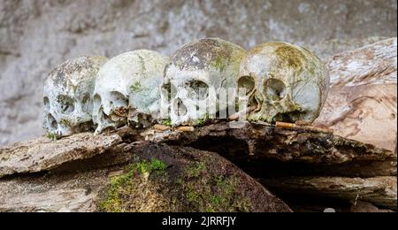 Giava, Indonesia, 13 giugno 2022 - le bare sospese erano comuni a Toraja diverse centinaia di anni fa. I teschi furono lasciati a guardia delle caserelle delle Caverne sepolcrali di Londa. Foto Stock