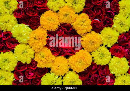Rangoli decorativi di fiori di rosa e marigold per lo sfondo del festival Diwali. Foto Stock