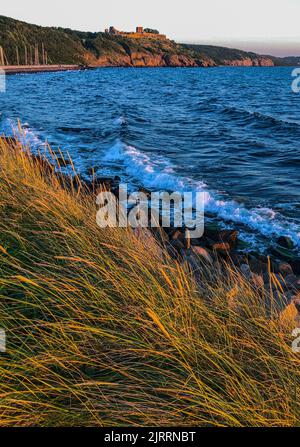 Vang, Danimarca. 01st ago, 2022. Paesaggio sulla costa occidentale vicino alle rovine della fortezza medievale Hammershus sull'isola danese nel Mar Baltico. L'isola di Bornholm è, insieme all'arcipelago offshore di Ertholmene, l'isola più orientale della Danimarca. Grazie alla sua posizione, l'isola di Bornholm conta particolarmente molte ore di sole. Credit: Patrick Pleul/dpa/Alamy Live News Foto Stock