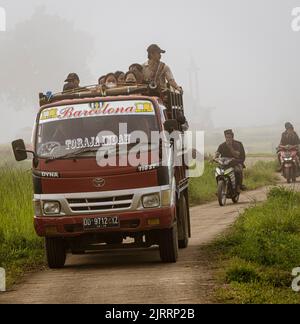 Indonesia, 13 2022 giugno - i lavoratori del campo di riso sul loro modo di lavorare. Foto Stock