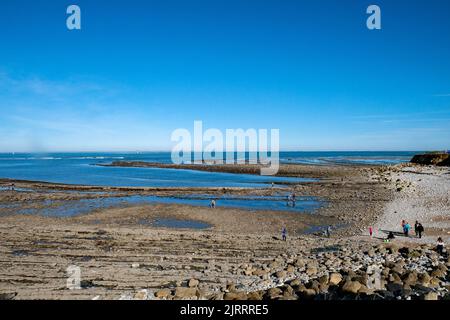 Isola “Ile d’Oleron” (al largo delle coste della Bretagna, Francia nord-occidentale): Costa rocciosa vicino al faro di Chassiron Foto Stock