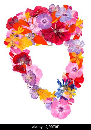 applicazione multicolore di fiori pressati secchi Foto Stock