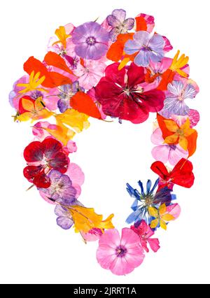 applicazione multicolore di fiori pressati secchi Foto Stock