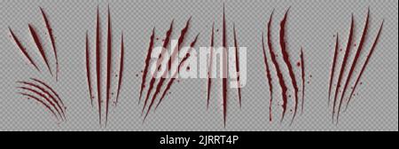 Graffi di sangue di artigli animali selvatici, segni di taloni spaventosi rossi isolati su sfondo trasparente. Rappresentazione realistica vettoriale di tagli strappati da ca Illustrazione Vettoriale