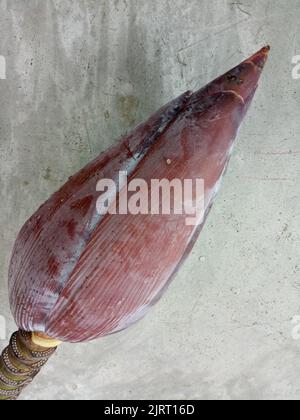 Primo piano con fiori di banana rosa. Asia. Cucina esotica. Stile di vita sano. Cemento sfondo. Foto Stock