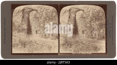 Fern Arch, Buller Gorge, circa 1900, Nelson, di James George Lamb. Foto Stock