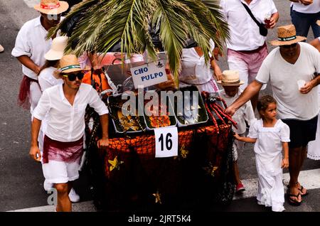 Abrigos festa online