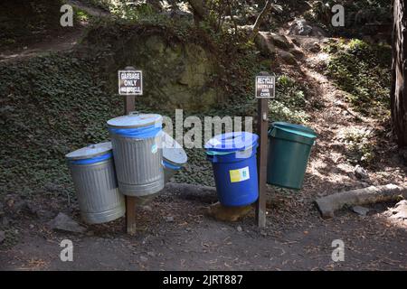 Lattine di rifiuti separate nel Limklin state Park, per rifiuti regolari e riciclaggio di bottiglie e lattine. Foto Stock