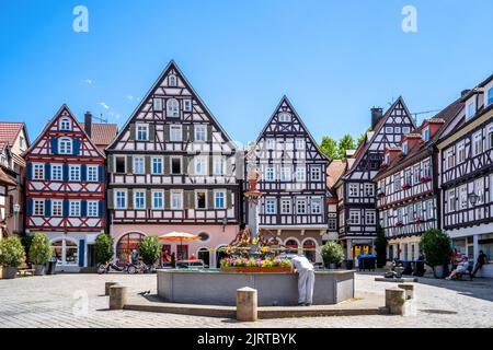 Mercato a Schorndorf, Germania Foto Stock