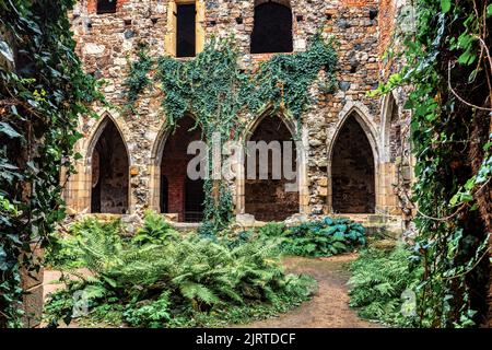 Il monastero di Rosa Coeli. Antica rovina cattolica del monastero vicino alla città di Dolni Kounice. Religione luogo gotico con la storia spirituale costruito dalla pietra. Foto Stock