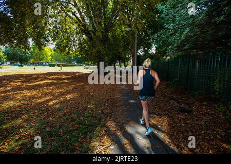 Londra UK 26 agosto 2022 Un pareggio in un parco londinese che sembra più autunno che estate Paul Quezada-Neiman/Alamy Live News Foto Stock