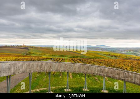 Torre di Lokout sulla collina di Kobyli Vrch, regione della Moravia meridionale - Repubblica Ceca. Costruzione a spirale in legno vicino a vigneti e chiesa. Palava colline, famoso wi Foto Stock