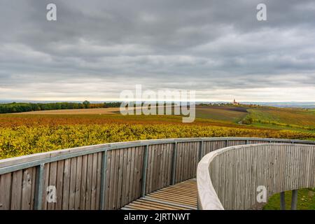 Torre di Lokout sulla collina di Kobyli Vrch, regione della Moravia meridionale - Repubblica Ceca. Costruzione a spirale in legno vicino a vigneti e chiesa. Palava colline, famoso wi Foto Stock