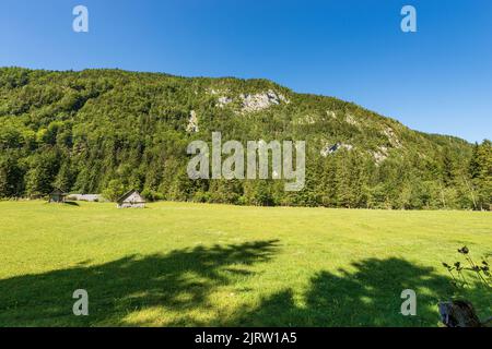 Due vecchi fienili di legno tradizionali su un prato verde, Alpi Giulie, Parco Nazionale del Triglav, Gorenjska, Slovenia, Europa centrale. Foto Stock