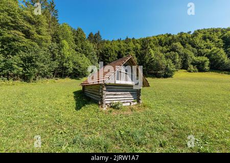 Vecchio fienile tradizionale in legno su un prato verde, Alpi Giulie, Parco Nazionale del Triglav, Gorenjska, Slovenia, Europa centrale. Foto Stock