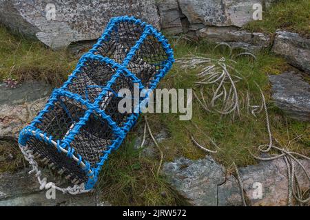 Lobster Pot, Lobster Net, Lobster Trap, Cray Pot, Cray Trap, Rete Cray Foto Stock