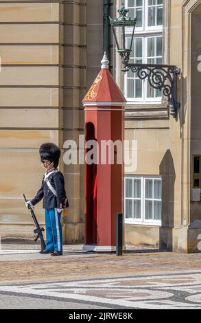 Guardia del palazzo in servizio presso la sua cassa di sentry fuori di un palazzo reale ad Amalienborg in Copenhagen Danimarca Foto Stock