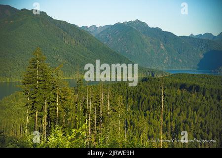Il lago di Cushman Foto Stock