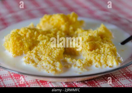 Corn couscous con latte su tavola con tovaglia rossa e bianca. Piatti popolari della regione nord-orientale del Brasile, ampiamente consumati per la colazione. Foto Stock