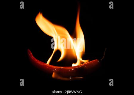 peperoncino piccante in primo piano scuro. Foto Stock