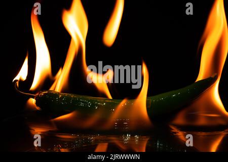 peperoncino piccante in peperoncino piccante scuro, fritto e speziato. Foto Stock