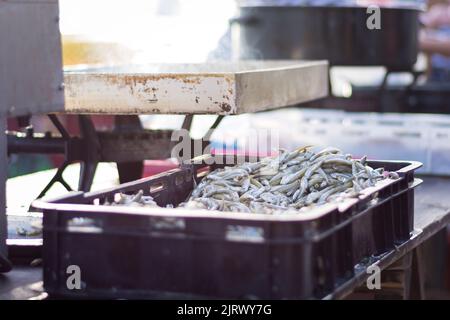 Scatola piena di sardine fresche a Zara, Croazia Foto Stock