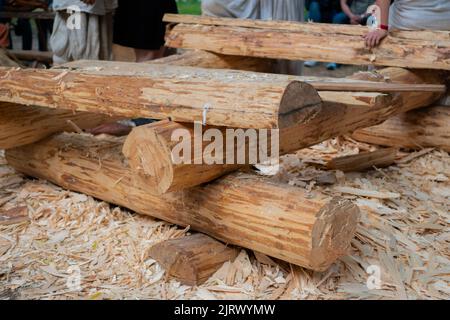 Edificio rustico in legno incompiuto - esterno, estate Foto Stock