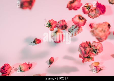 composizione floreale di sfondo Foto Stock