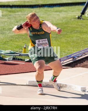 Ischke Senekal del Sud Africa gareggiando nel tiro delle donne ha messo le maniche ai Campionati mondiali di atletica, Hayward Field, Eugene, Oregon USA sul Foto Stock