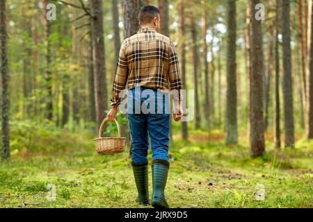 uomo con cesto raccolta funghi in foresta Foto Stock