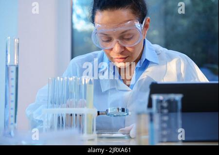 Una scienziata femminile che utilizza la lente d'ingrandimento esamina il materiale biologico in una capsula di Petri, seduto al tavolo con vetreria da laboratorio Foto Stock