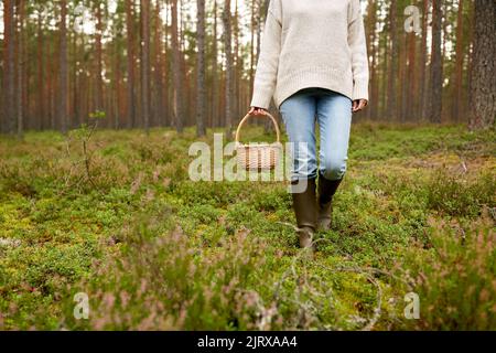 Donna con cesto raccolta di funghi in foresta Foto Stock