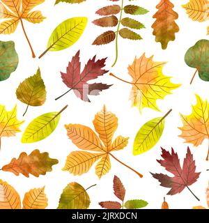 Acquerello autunno foglie modello senza cuciture. Vettore colorato fondo autunnale con foglie di acero, castagno, rowan, pioppo Illustrazione Vettoriale
