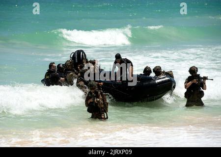 Cavalleria da Ace Troop, 2nd Squadron, 14th Cavalry Regiment, 25th Divisione Fanteria condurre l'inserimento di acqua e pattuglie piede attraverso mantice Field Beach Park 24 agosto 2022. L’inserimento anfibio congiunto con Marines è stato parte di un esercizio multi-echelon di due settimane progettato per convalidare la Brigade Capability Set Integration (CSI), addestrare e certificare società letali, truppe e batterie, ed esercitare la capacità di sostenibilità dei Guerrieri in un campo di battaglia dinamico e complesso contro un nemico che reagisce. (STATI UNITI Foto dell'esercito di: SGT. Thomas Duval classe 1st) Foto Stock