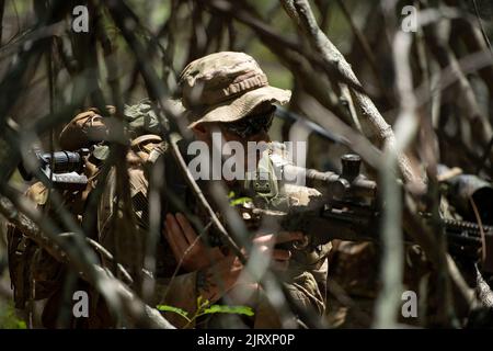 Cavalleria da Ace Troop, 2nd Squadron, 14th Cavalry Regiment, 25th Divisione Fanteria condurre l'inserimento di acqua e pattuglie piede attraverso mantice Field Beach Park 24 agosto 2022. L’inserimento anfibio congiunto con Marines è stato parte di un esercizio multi-echelon di due settimane progettato per convalidare la Brigade Capability Set Integration (CSI), addestrare e certificare società letali, truppe e batterie, ed esercitare la capacità di sostenibilità dei Guerrieri in un campo di battaglia dinamico e complesso contro un nemico che reagisce. (STATI UNITI Foto dell'esercito di: SGT. Thomas Duval classe 1st) Foto Stock