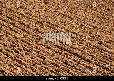 Immagine full-frame di terreno marrone su un campo appena arato, adatto come una texture di fondo agricola Foto Stock