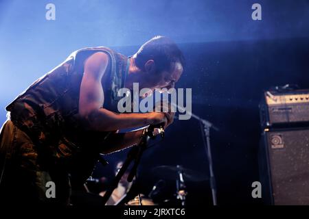 FAMIGLIA FAT WHITE POINTU, Six Fours, FRANCIA, 06/07/2019 Florent 'MrCrash' B. Foto Stock