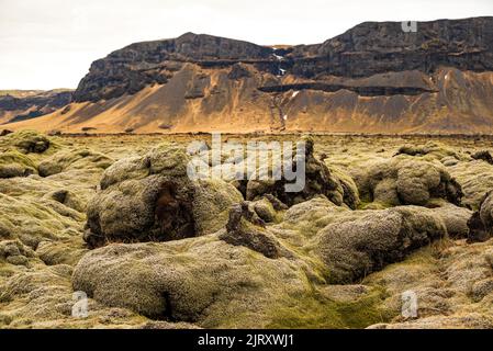 Vista sulle rocce ricoperte di muschio del campo lavico di Brunahraun, con la catena montuosa Selfell sullo sfondo, Islanda, vicino alla Route 1 / Ring Road Foto Stock