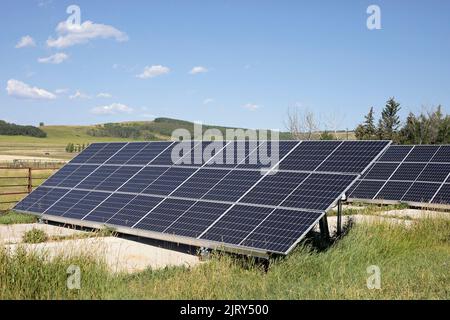 Pannelli solari in una giornata di sole. L'array fotovoltaico solare fornisce energia rinnovabile per una fattoria di permaculture nella zona rurale di Alberta, Canada Foto Stock