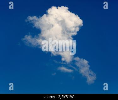 Formazione di nuvole di cumuli bianche soffocate in un cielo blu profondo Foto Stock
