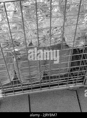 Stoccaggio e trasporto di grandi bottiglie di plastica per acqua potabile pulita in un contenitore con griglia metallica, primo piano Foto Stock