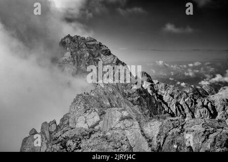 Watchmann cime medio con nuvole viste da Hocheck, foto in bianco e nero, crinale di Watchmann, attraversamento di Watchmann, Hundstod dietro, Alpi Berchtesgaden Foto Stock