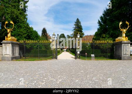 L'ingresso barocco al Wenkenpark di Riehen è custodito da due cervi dorati modellati sullo scultore francese Jean Goujon (XVI secolo), Basilea-Città c. Foto Stock