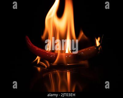 peperoncino piccante in primo piano scuro. Foto Stock