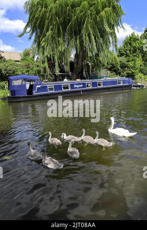 Narrowboats; fiume Nene; marzo città; Cambridgeshire; Inghilterra; Regno Unito Foto Stock