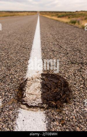 Un esempio di efficienza governativa con la striscia stradale dipinta attraverso sterco di mucca sulla strada. Moab, Utah. Foto Stock