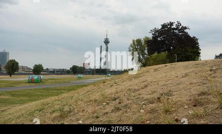 Paesaggio asciutto sul fiume Reno a Düsseldorf/Germania dopo molte settimane con temperature calde e senza pioggia. Fuoco selettivo su prato asciutto. Foto Stock